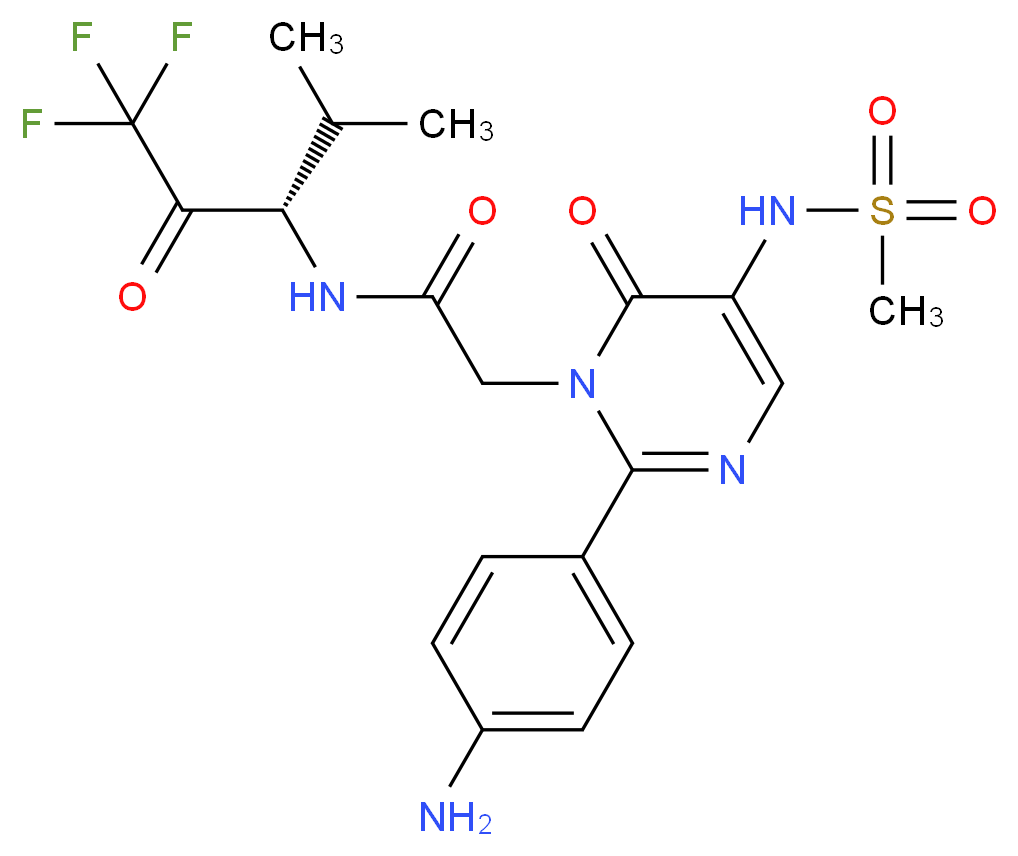 CAS_ 分子结构