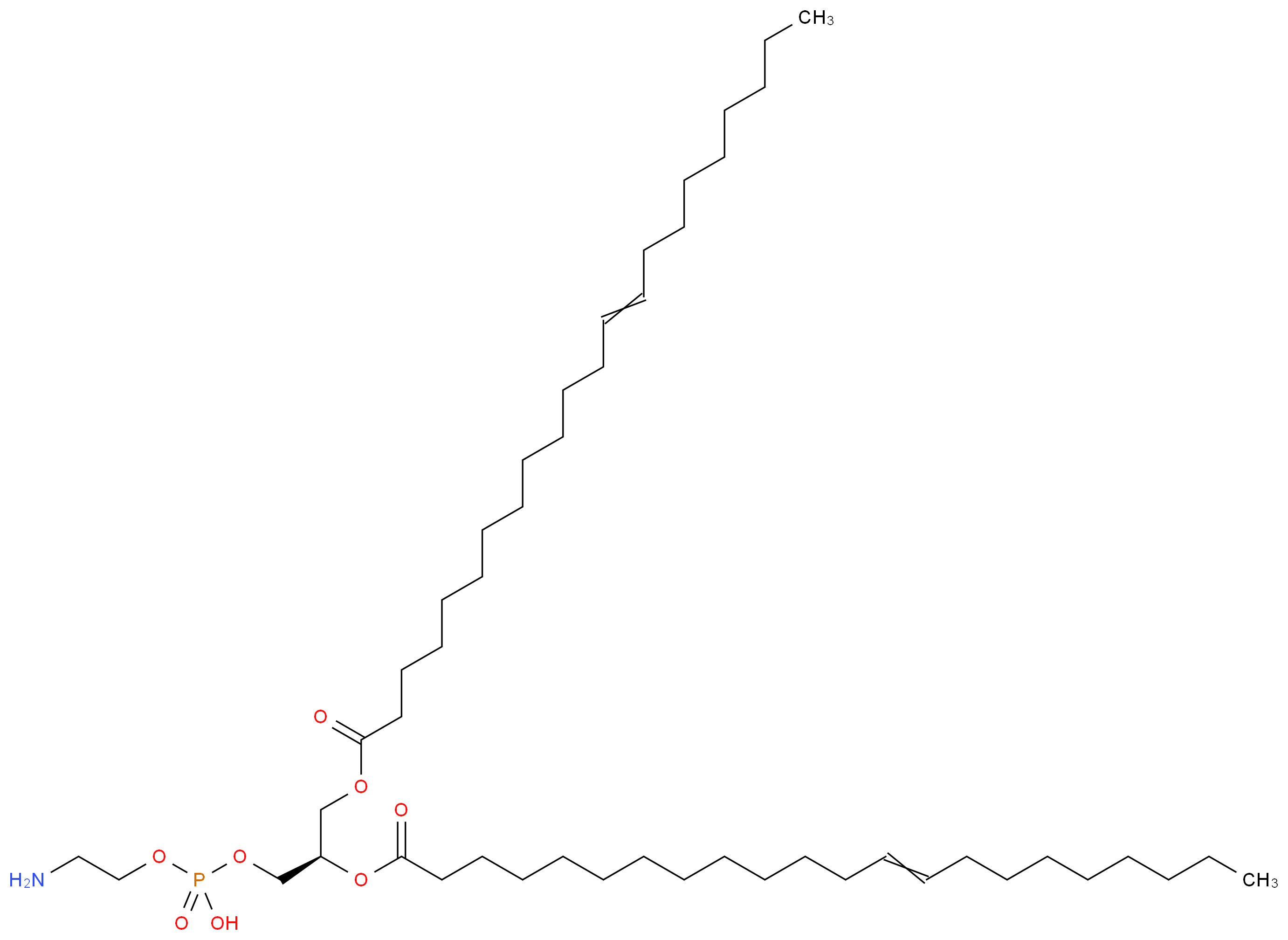 1,2-Dierucoyl-sn-glycero-3-phosphoethanolamine_分子结构_CAS_904304-57-0)