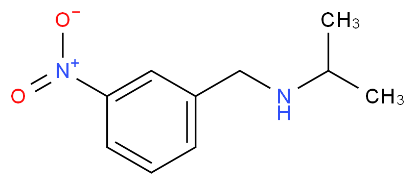 [(3-nitrophenyl)methyl](propan-2-yl)amine_分子结构_CAS_90390-05-9