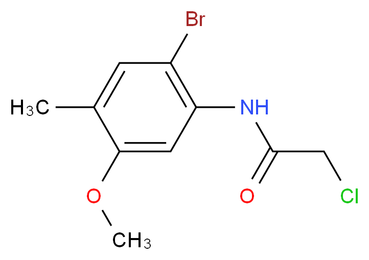 N-(2-Bromo-5-methoxy-4-methylphenyl)-2-chloroacetamide_分子结构_CAS_)