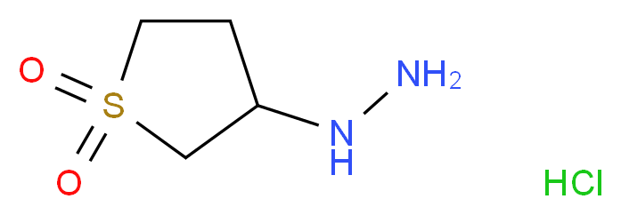 3-hydrazinyl-1$l^{6}-thiolane-1,1-dione hydrochloride_分子结构_CAS_1004-15-5