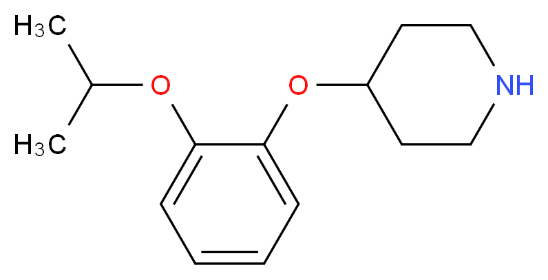 4-[2-(propan-2-yloxy)phenoxy]piperidine_分子结构_CAS_902836-24-2