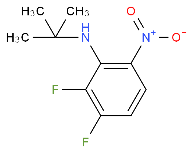 N-tert-butyl-2,3-difluoro-6-nitroaniline_分子结构_CAS_1314985-42-6