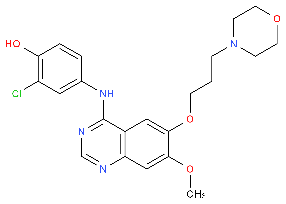 2-chloro-4-({7-methoxy-6-[3-(morpholin-4-yl)propoxy]quinazolin-4-yl}amino)phenol_分子结构_CAS_847949-50-2
