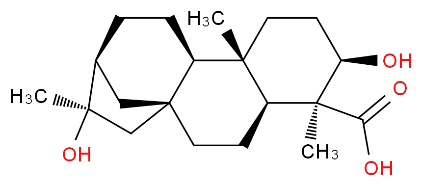 CAS_N 分子结构