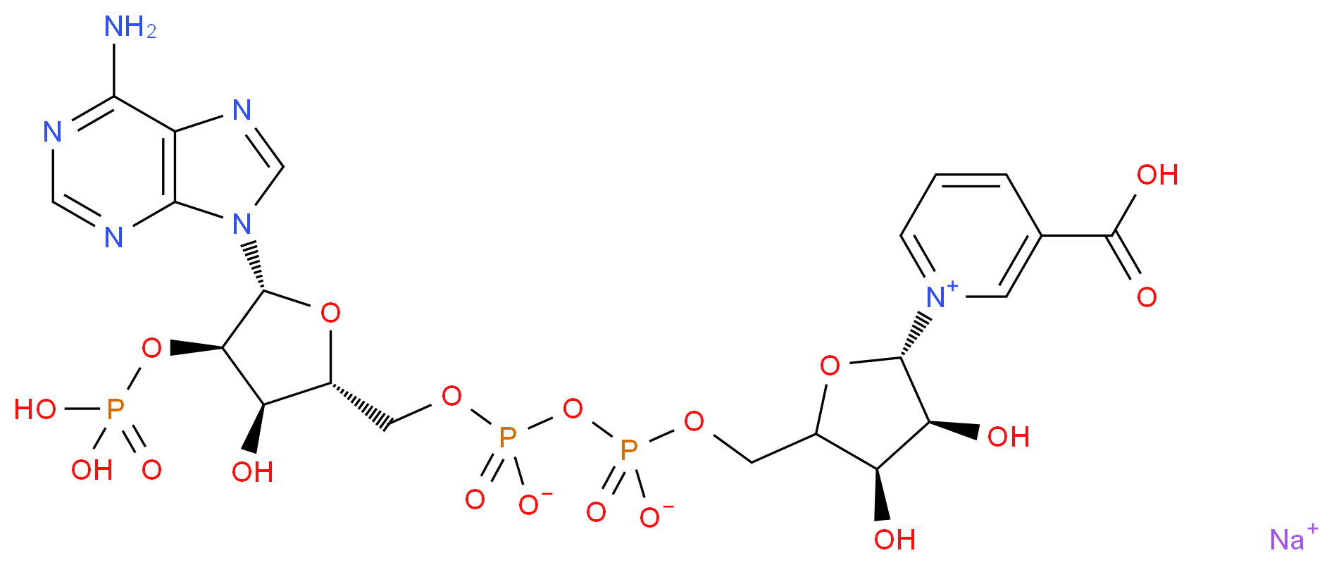sodium 1-[(2S,3S,4R)-5-({[({[(2R,3R,4R,5R)-5-(6-amino-9H-purin-9-yl)-3-hydroxy-4-(phosphonooxy)oxolan-2-yl]methyl phosphonato}oxy)phosphinato]oxy}methyl)-3,4-dihydroxyoxolan-2-yl]-3-carboxy-1λ<sup>5</sup>-pyridin-1-ylium_分子结构_CAS_5502-96-5