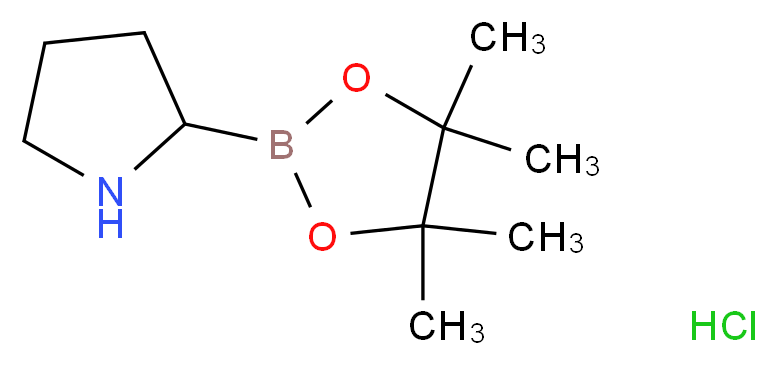 2-(tetramethyl-1,3,2-dioxaborolan-2-yl)pyrrolidine hydrochloride_分子结构_CAS_123948-28-7