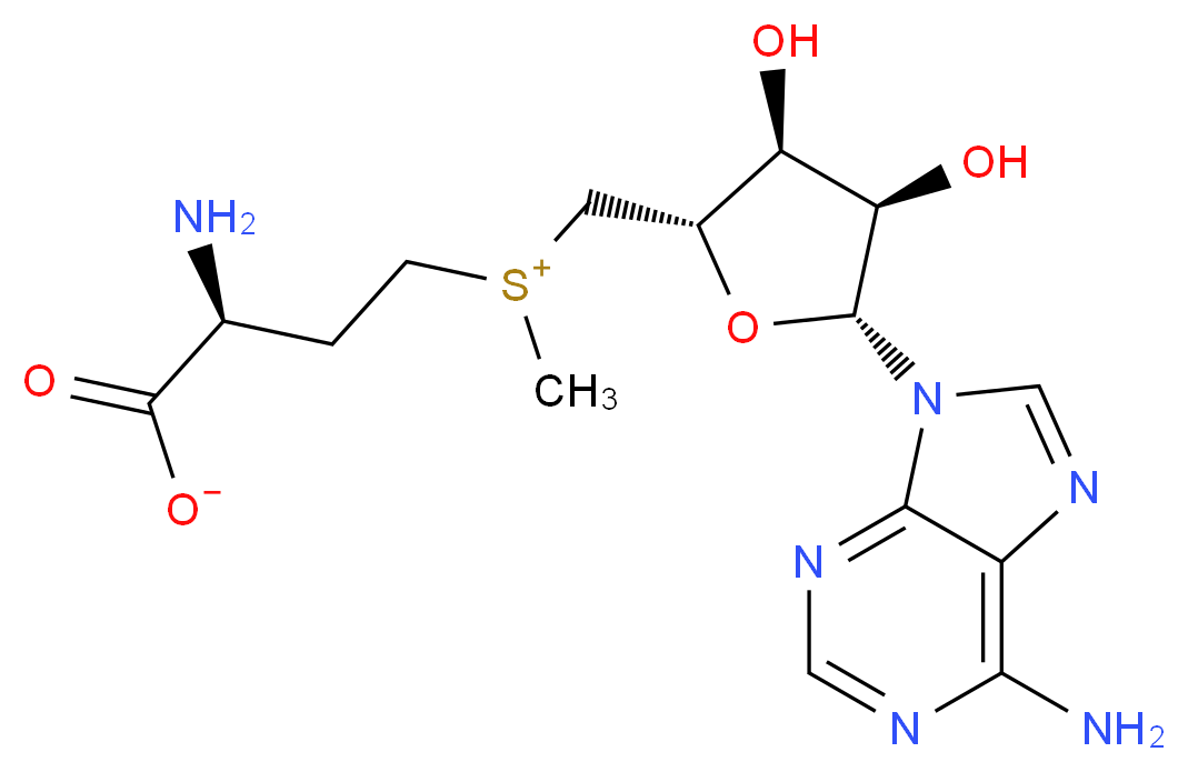 S-Adenosylmethionine_分子结构_CAS_29908-03-0)