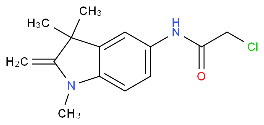 5-Chloroacetamido-2-methylene-1,3,3-trimethylindoline_分子结构_CAS_51980-53-1)