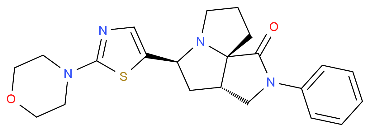 (3aS*,5S*,9aS*)-5-[2-(4-morpholinyl)-1,3-thiazol-5-yl]-2-phenylhexahydro-7H-pyrrolo[3,4-g]pyrrolizin-1(2H)-one_分子结构_CAS_)