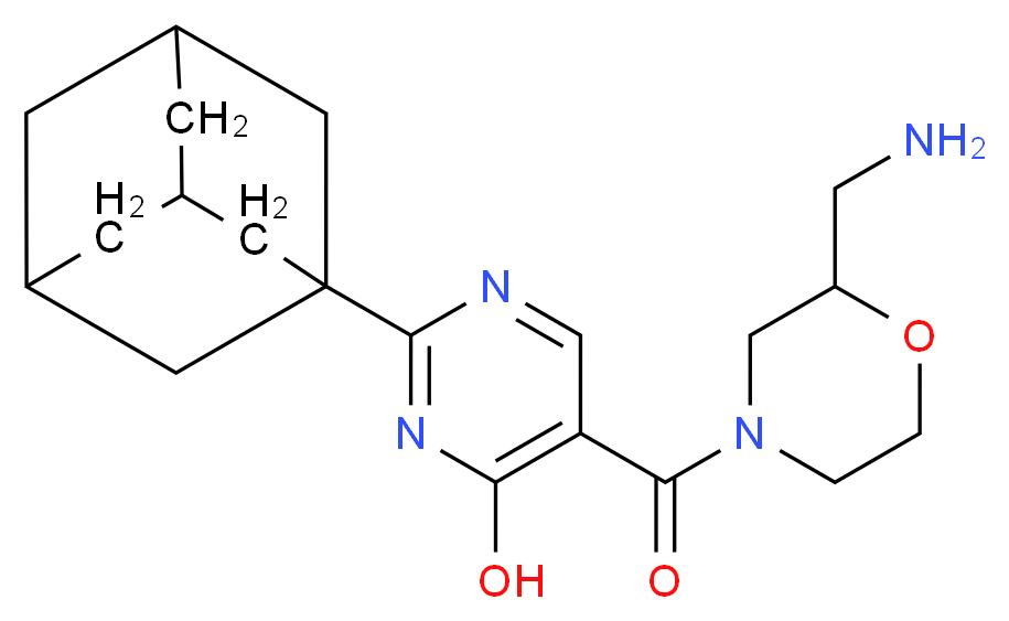 CAS_ 分子结构