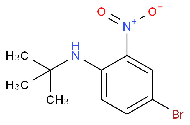 4-Bromo-N-(tert-butyl)-2-nitroaniline_分子结构_CAS_1135351-95-9)