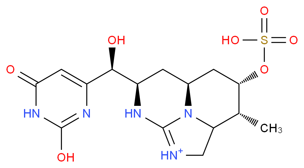 (5R,6S,8S,10R)-10-[(S)-hydroxy(2-hydroxy-6-oxo-1,6-dihydropyrimidin-4-yl)methyl]-5-methyl-6-(sulfooxy)-2,11,12-triazatricyclo[6.3.1.0<sup>4</sup>,<sup>1</sup><sup>2</sup>]dodec-1-en-2-ium_分子结构_CAS_143545-90-8