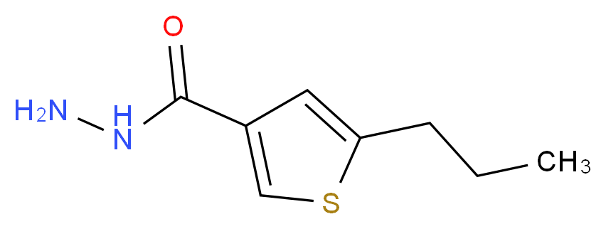 5-propylthiophene-3-carbohydrazide_分子结构_CAS_438215-42-0