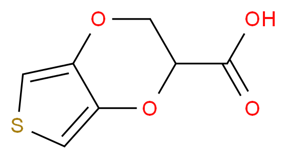 2H,3H-thieno[3,4-b][1,4]dioxine-2-carboxylic acid_分子结构_CAS_955373-67-8