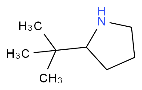 2-tert-butylpyrrolidine_分子结构_CAS_)