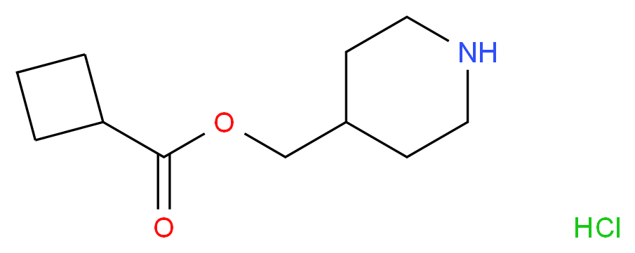 4-Piperidinylmethyl cyclobutanecarboxylate hydrochloride_分子结构_CAS_)