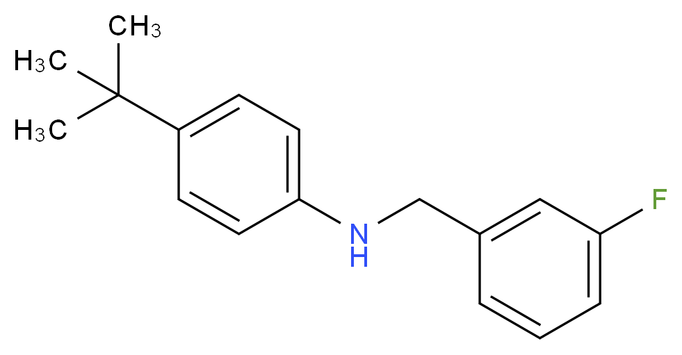 4-tert-butyl-N-[(3-fluorophenyl)methyl]aniline_分子结构_CAS_1036463-19-0