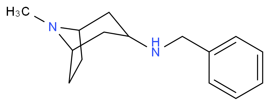 N-benzyl-8-methyl-8-azabicyclo[3.2.1]octan-3-amine_分子结构_CAS_101353-61-1