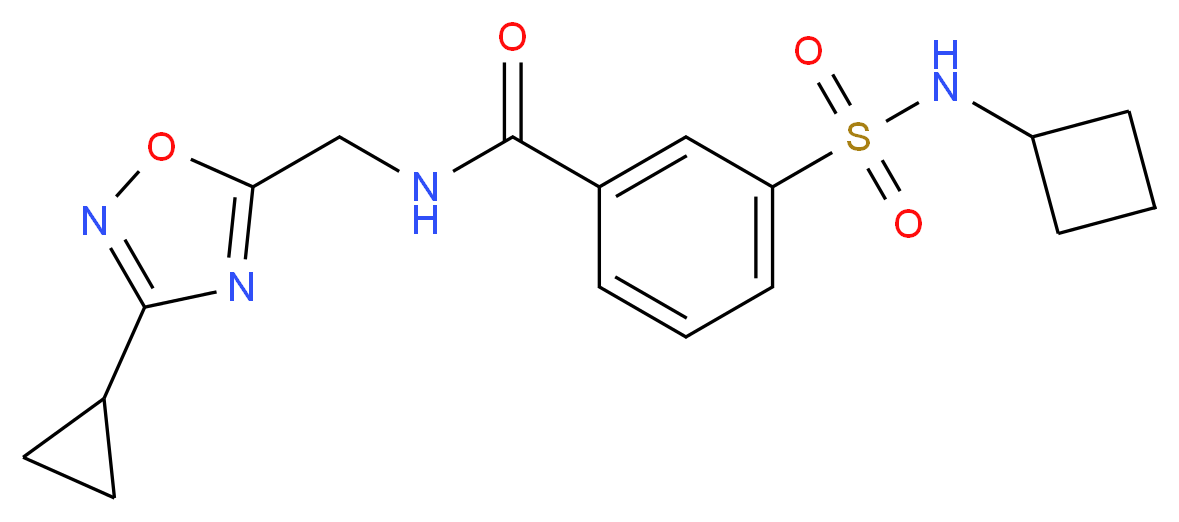 3-[(cyclobutylamino)sulfonyl]-N-[(3-cyclopropyl-1,2,4-oxadiazol-5-yl)methyl]benzamide_分子结构_CAS_)