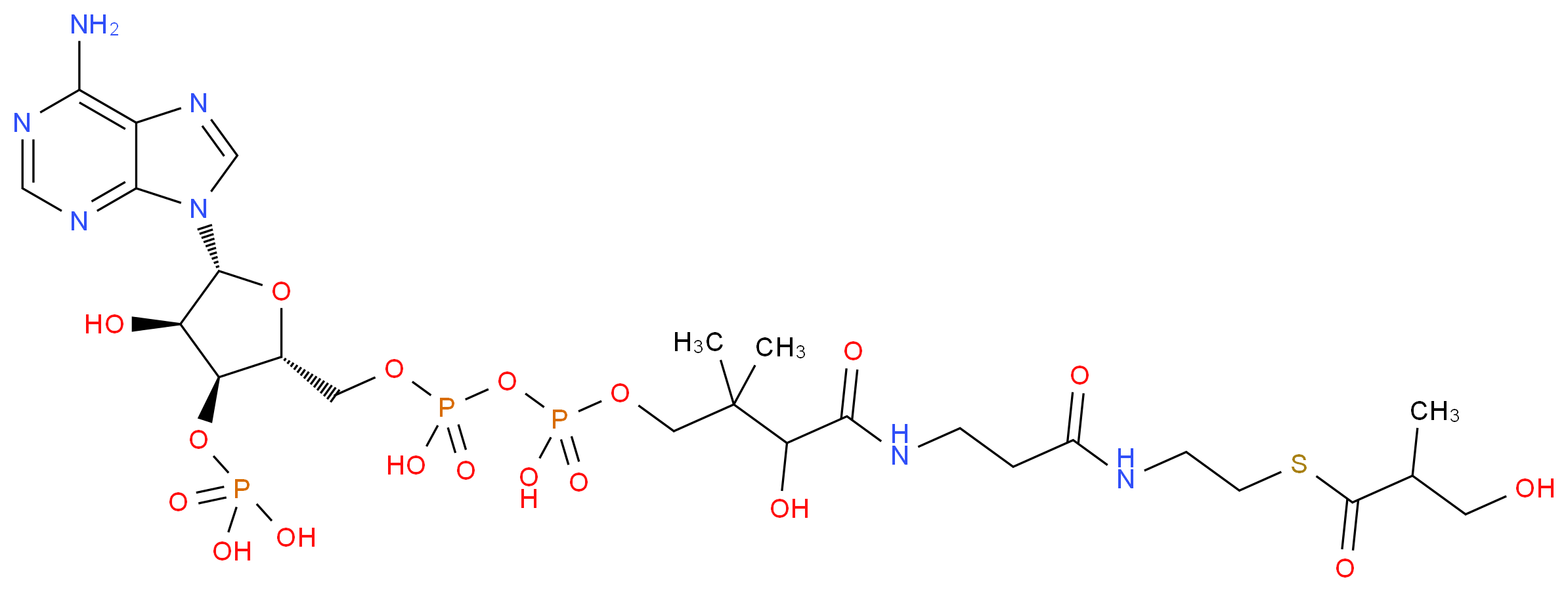 3-Hydroxyisobutyryl-CoA_分子结构_CAS_)