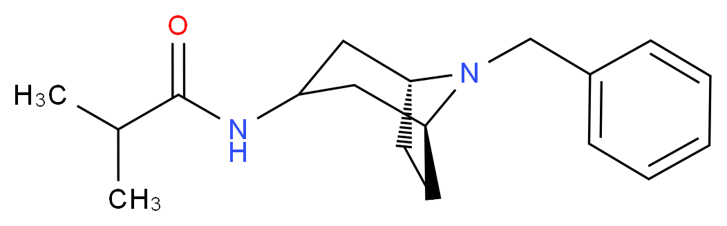 N-[(1R,5S)-8-benzyl-8-azabicyclo[3.2.1]octan-3-yl]-2-methylpropanamide_分子结构_CAS_376348-67-3