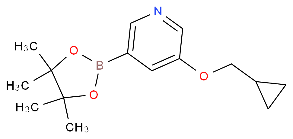 3-(CyclopropylMethoxy)-5-(4,4,5,5-tetraMethyl-1,3,2-dioxaborolan-2-yl)pyridine_分子结构_CAS_1257553-87-9)