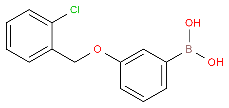 {3-[(2-chlorophenyl)methoxy]phenyl}boronic acid_分子结构_CAS_845551-45-3