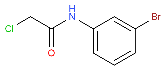 N-(3-bromophenyl)-2-chloroacetamide_分子结构_CAS_2564-03-6