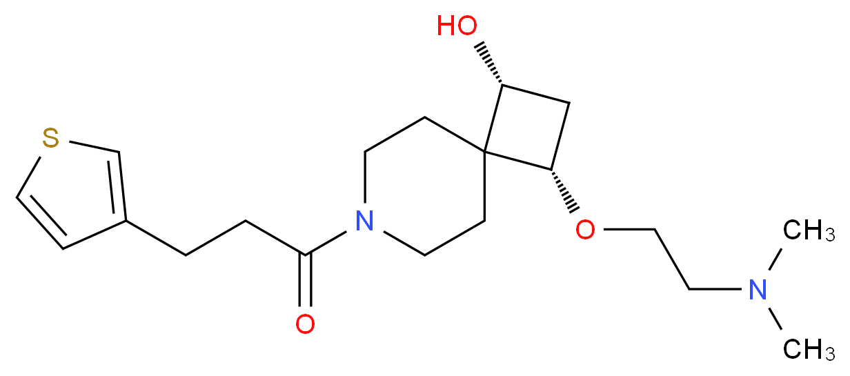 CAS_ 分子结构