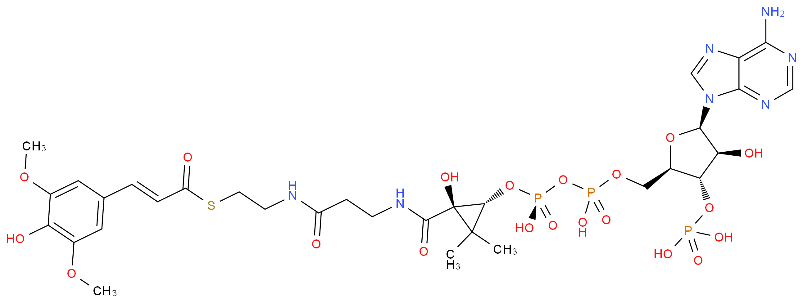 CAS_ 分子结构