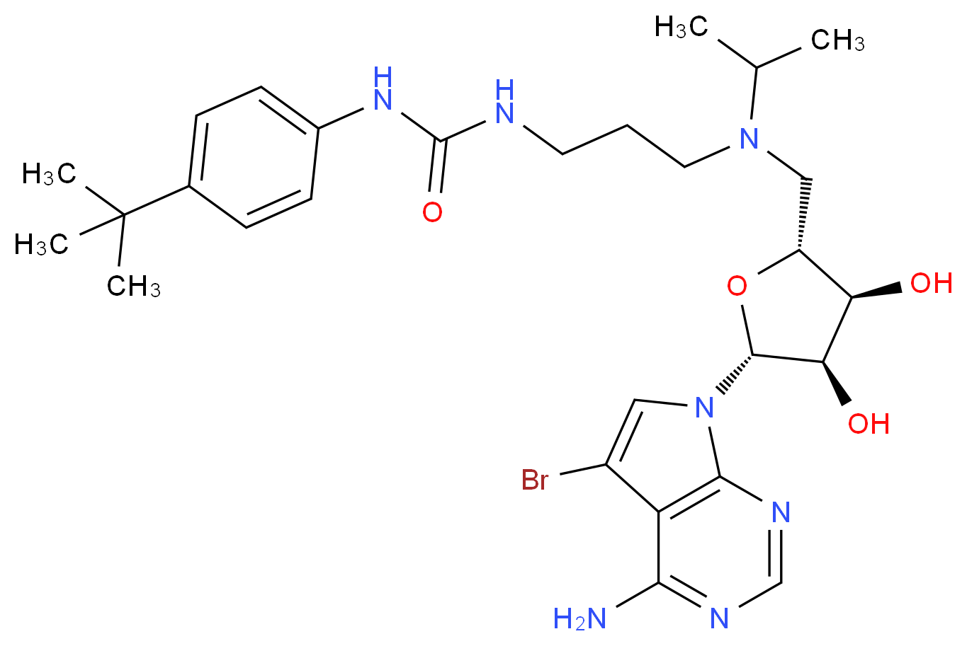 CAS_ 分子结构