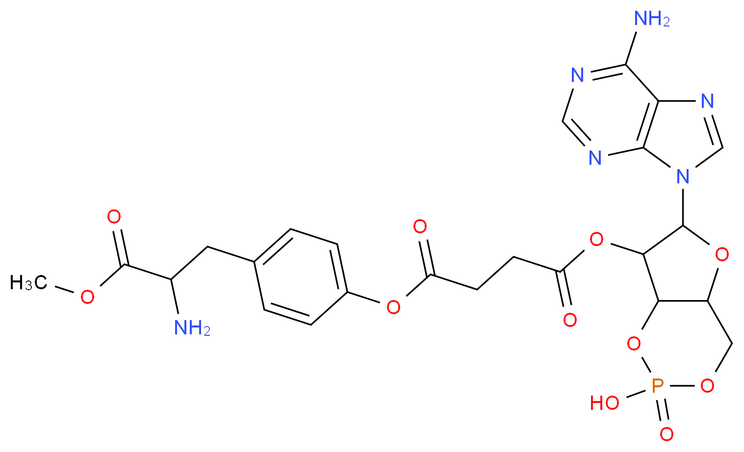 2′-O-Monosuccinyladenosine 3′:5′-cyclic monophosphate tyrosyl methyl ester_分子结构_CAS_104809-08-7)