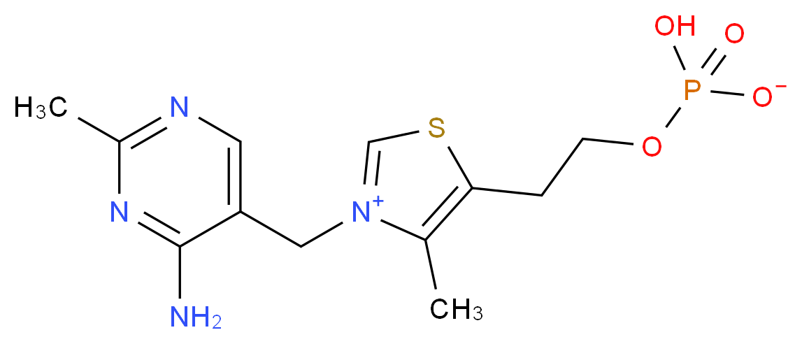 3-[(4-amino-2-methylpyrimidin-5-yl)methyl]-5-[2-(hydrogen phosphonatooxy)ethyl]-4-methyl-1,3-thiazol-3-ium_分子结构_CAS_532-40-1