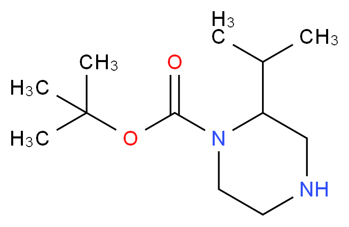 tert-Butyl 2-isopropylpiperazine-1-carboxylate_分子结构_CAS_886766-25-2)