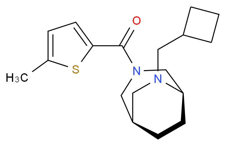 (1R*,5R*)-6-(cyclobutylmethyl)-3-[(5-methyl-2-thienyl)carbonyl]-3,6-diazabicyclo[3.2.2]nonane_分子结构_CAS_)
