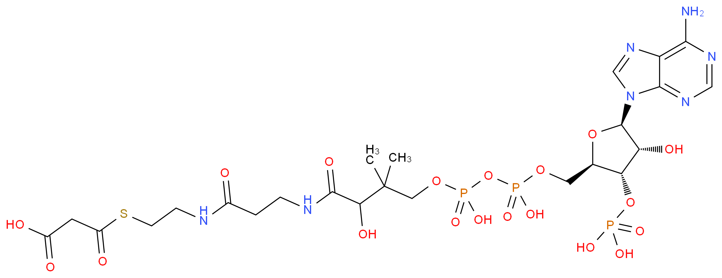 3-{[2-(3-{3-[({[({[(2R,3S,4R,5R)-5-(6-amino-9H-purin-9-yl)-4-hydroxy-3-(phosphonooxy)oxolan-2-yl]methoxy}(hydroxy)phosphoryl)oxy](hydroxy)phosphoryl}oxy)methyl]-2-hydroxy-3-methylbutanamido}propanamido)ethyl]sulfanyl}-3-oxopropanoic acid_分子结构_CAS_524-14-1