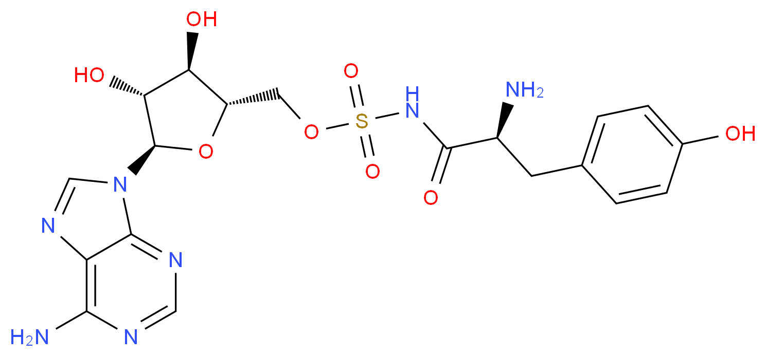 CAS_ 分子结构