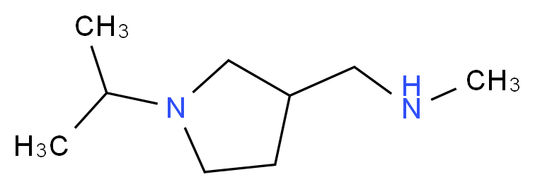 methyl({[1-(propan-2-yl)pyrrolidin-3-yl]methyl})amine_分子结构_CAS_884504-73-8
