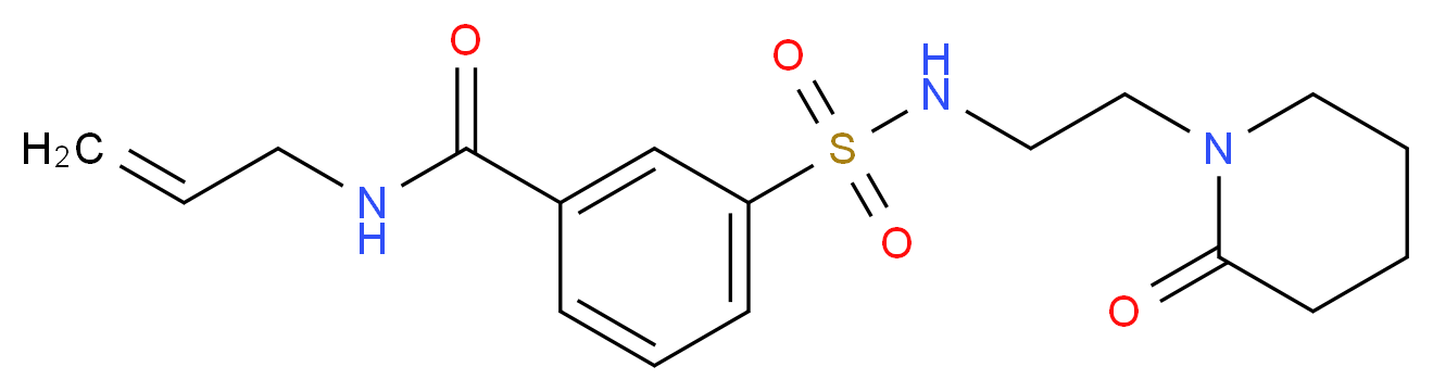 N-allyl-3-({[2-(2-oxopiperidin-1-yl)ethyl]amino}sulfonyl)benzamide_分子结构_CAS_)