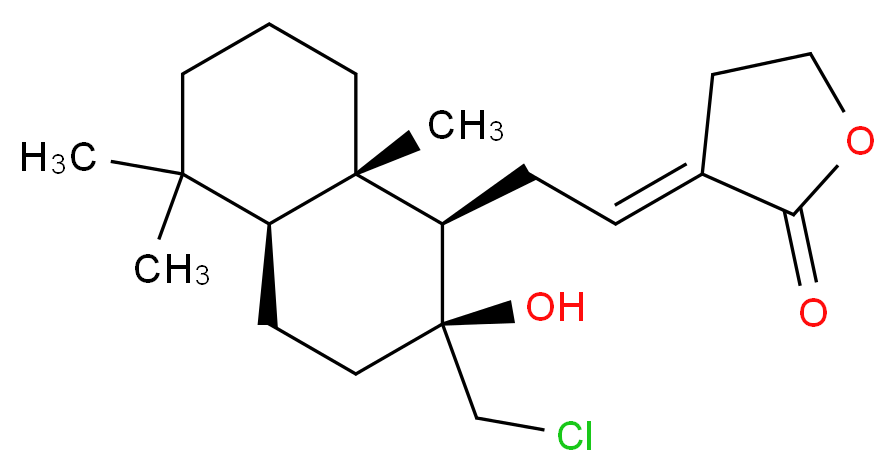 CAS_N 分子结构