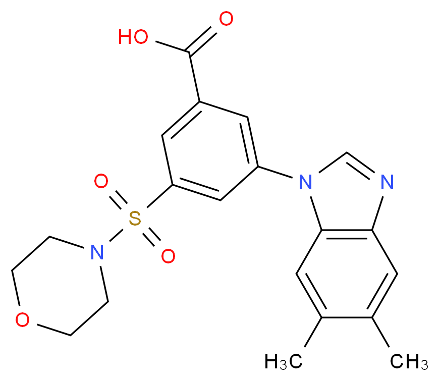 3-(5,6-dimethyl-1H-benzimidazol-1-yl)-5-(morpholin-4-ylsulfonyl)benzoic acid_分子结构_CAS_)