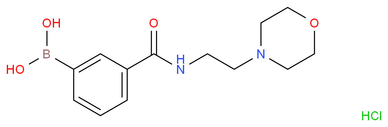 3-[2-(4-吗啉基)乙基氨甲酰基]苯硼酸盐酸盐_分子结构_CAS_957060-89-8)
