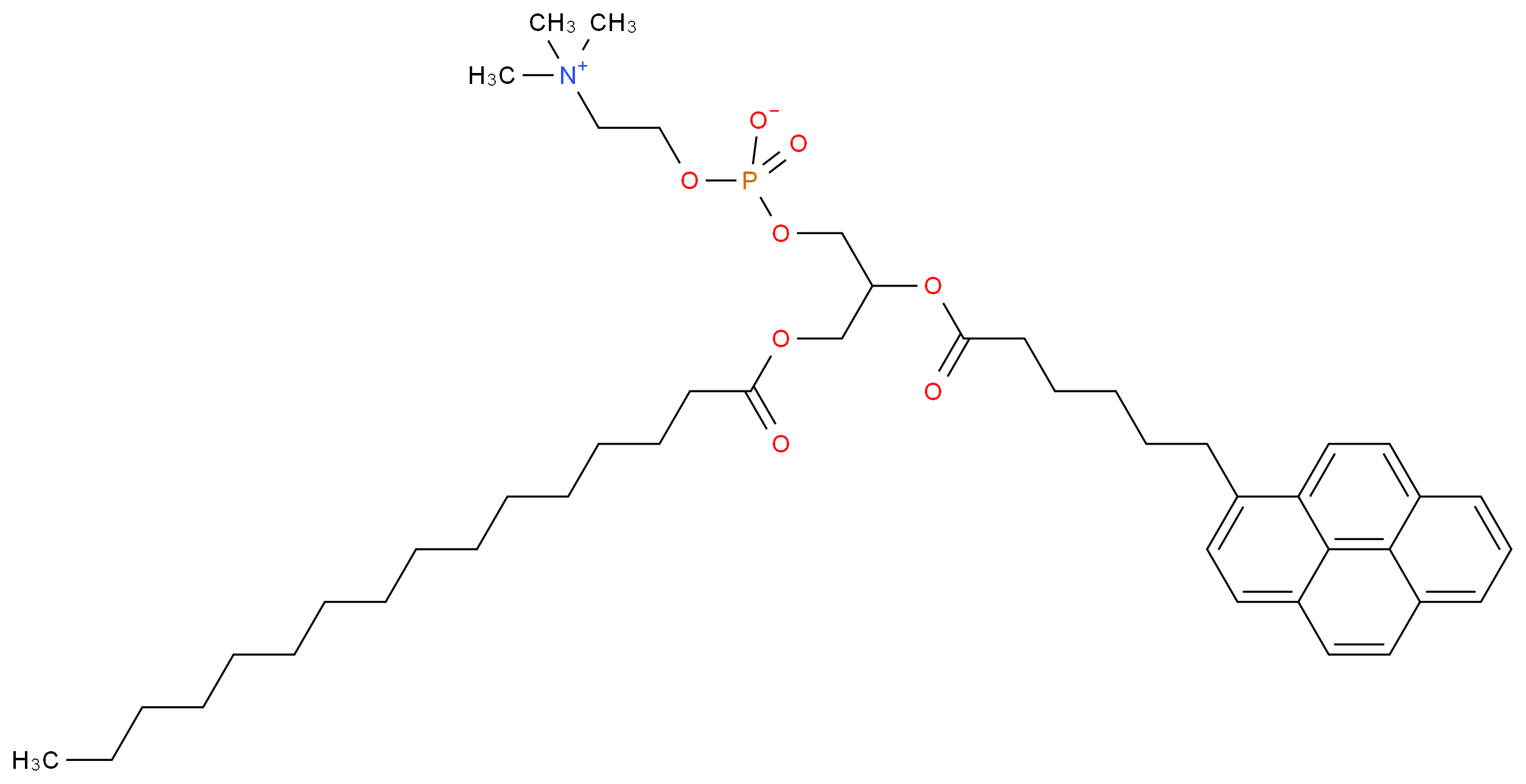 1-Palmitoyl-2-(pyren-1-yl)hexanoyl-sn-glycero-3-phosphocholine_分子结构_CAS_103625-33-8)