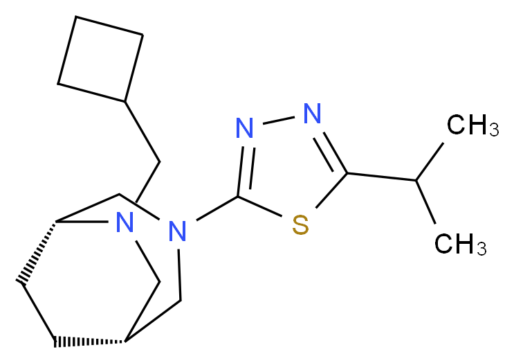 (1R*,5R*)-6-(cyclobutylmethyl)-3-(5-isopropyl-1,3,4-thiadiazol-2-yl)-3,6-diazabicyclo[3.2.2]nonane_分子结构_CAS_)