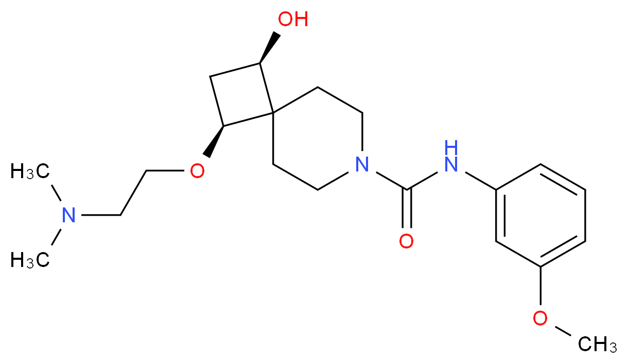 CAS_ 分子结构