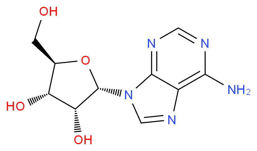 (2S,3R,4S,5R)-2-(6-amino-9H-purin-9-yl)-5-(hydroxymethyl)oxolane-3,4-diol_分子结构_CAS_5682-25-7