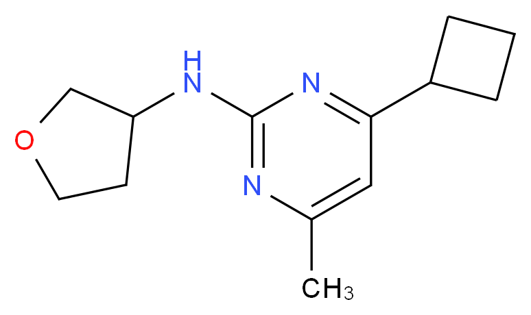 4-cyclobutyl-6-methyl-N-(tetrahydrofuran-3-yl)pyrimidin-2-amine_分子结构_CAS_)