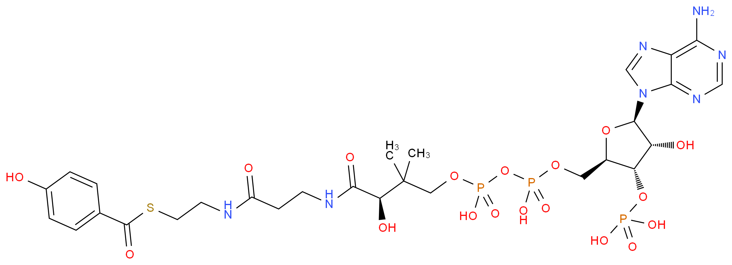 4-Hydroxybenzoyl Coenzyme A_分子结构_CAS_27718-41-8)