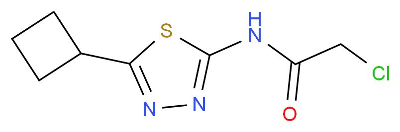 2-chloro-N-(5-cyclobutyl-1,3,4-thiadiazol-2-yl)acetamide_分子结构_CAS_878668-04-3